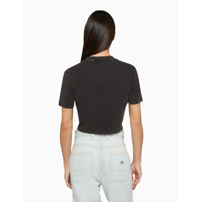 Camiseta Manga Corta Dickies Plentywood SS Tee Negra