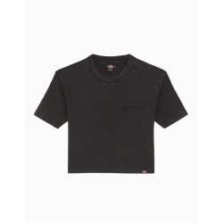 Camiseta Manga Corta Dickies Plentywood SS Tee Negra