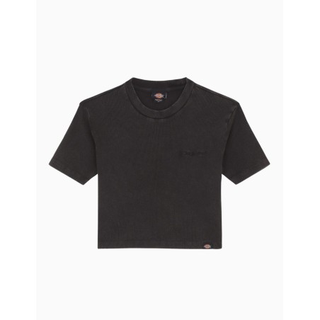 Camiseta Manga Corta Dickies Plentywood SS Tee Negra
