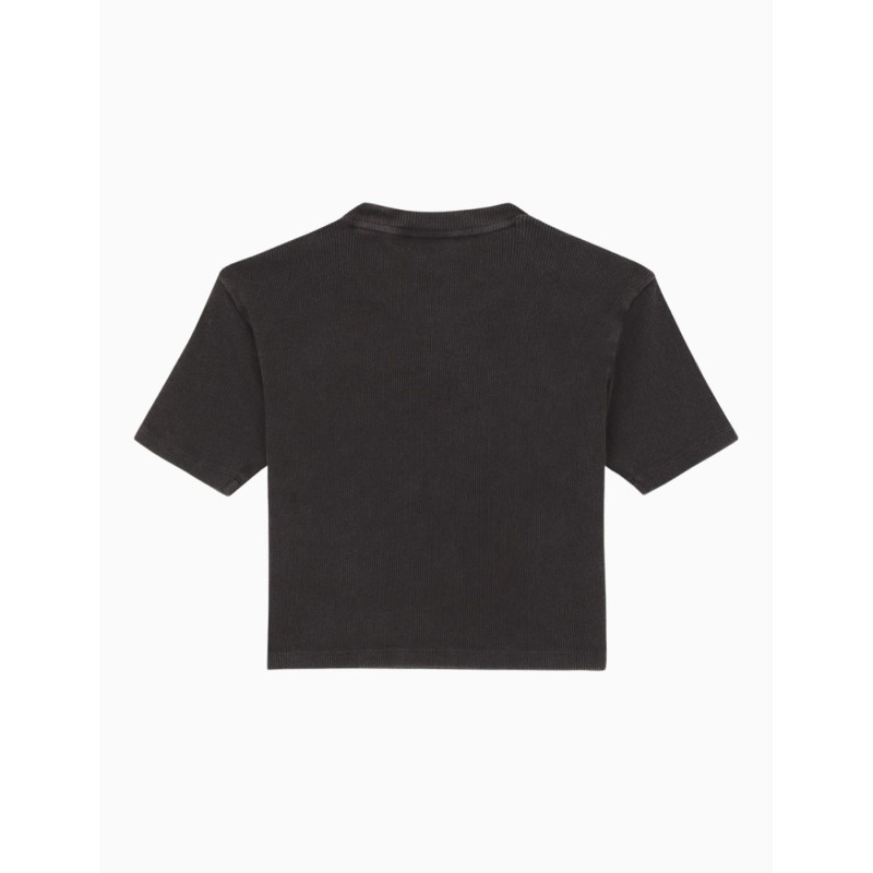 Camiseta Manga Corta Dickies Plentywood SS Tee Negra