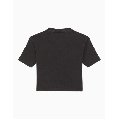 Camiseta Manga Corta Dickies Plentywood SS Tee Negra