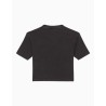 Camiseta Manga Corta Dickies Plentywood SS Tee Negra