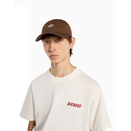 Gorra Hardwick Timber Brown